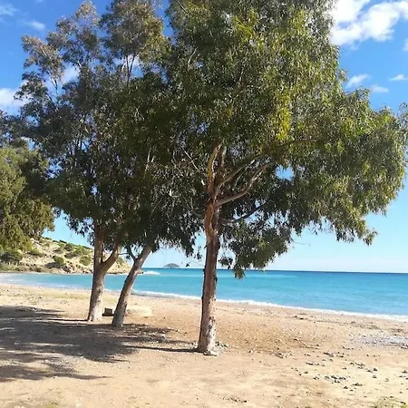 Lovely Oasis Ola Y Brisa - Premium 100 Mts To The Sea Apartment